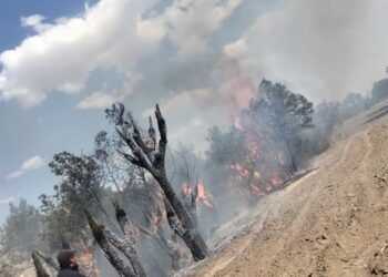 Fuerte incendio en Tecoac Huamantla.