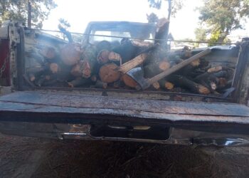 SSC aseguró camioneta con material forestal en Huamantla