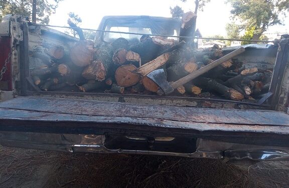 SSC aseguró camioneta con material forestal en Huamantla