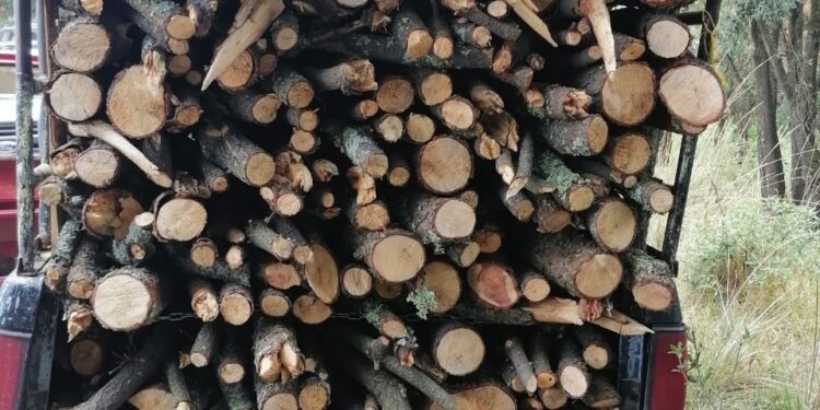 Policía de montaña asegura dos vehículos con materia prima forestal en la malinche y Tlaxco