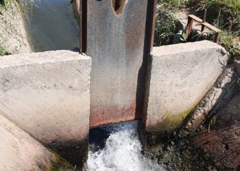 Diseña COLTLAX estrategias para la conservación ambiental