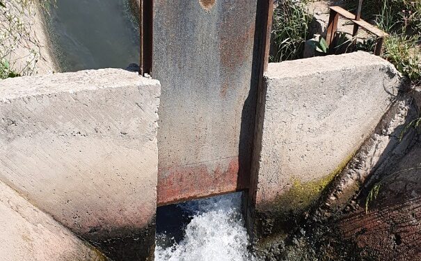 Diseña COLTLAX estrategias para la conservación ambiental