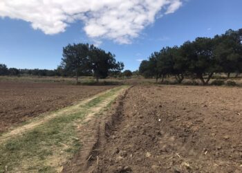PGJE investiga identidad de una osamenta.