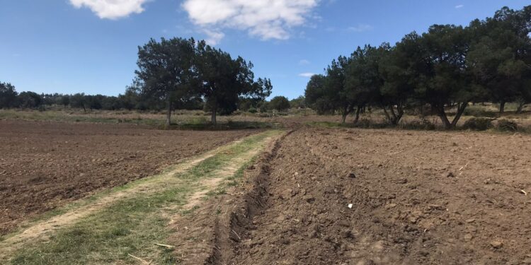 PGJE investiga identidad de una osamenta.