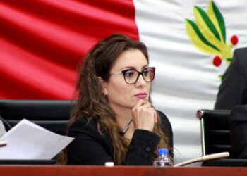 “JCCP analizará efectos de la resolución del TEPJF”: Reyna Báez Lozano