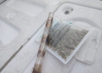 Detiene SCC a dos personas por posesión ilegal de arma de fuego y enervantes.