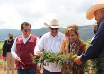 Meta de 3.9 millones de plantas en Tlaxcala durante la Tercera Jornada Nacional de Siembra