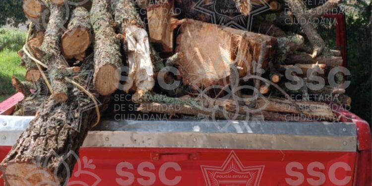 Asegura SSC material forestal en San José Teacalco