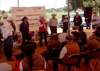 Atiende SIA a 199 productores de durazno en 16 municipios de la entidad