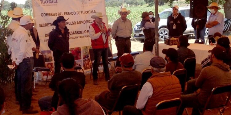 Atiende SIA a 199 productores de durazno en 16 municipios de la entidad