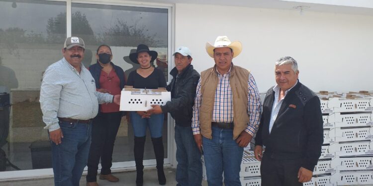 Entrega SIA los primeros 660 paquetes de especies menores en 11 municipios