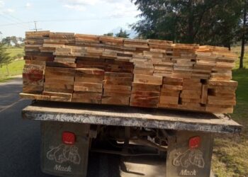 Inicia PGJE investigación por encubrimiento y cohecho al transportar madera de forma ilícita