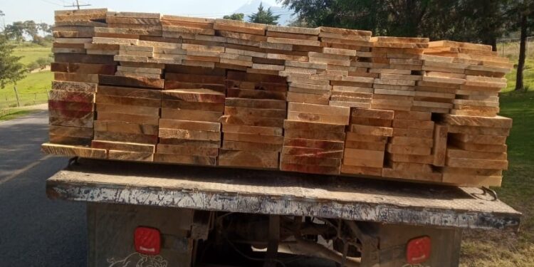 Inicia PGJE investigación por encubrimiento y cohecho al transportar madera de forma ilícita