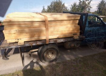 Asegura SSC camioneta con material forestal en Sanctórum