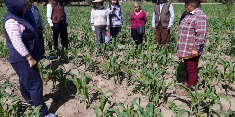 Impulsa SIA plan de manejo orgánico en 6 mil hectáreas del campo tlaxcalteca