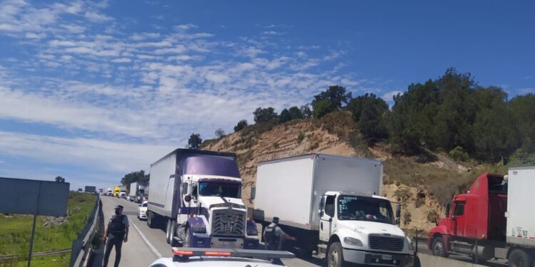 Operativo conjunto entre el estado y la federación frustra robo de cuatro tractocamiones en Santorúm