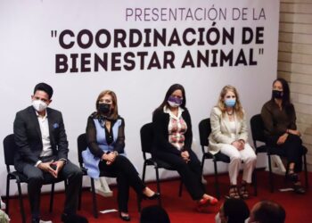 Presidió Gobernadora Lorena Cuéllar presentación de la coordinación de bienestar animal