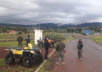 Reporta SSC saldo blanco en operativo luciérnagas 2022