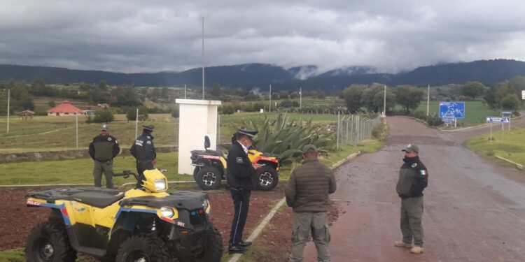 Reporta SSC saldo blanco en operativo luciérnagas 2022