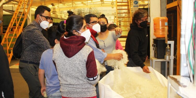 ITEA promueve conciencia ecológica entre sus beneficiarios