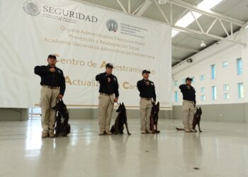 Obtienen binomios caninos certificación para detectar fentanilo