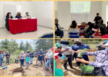 Impulsa UATx restauración de ecosistemas forestales