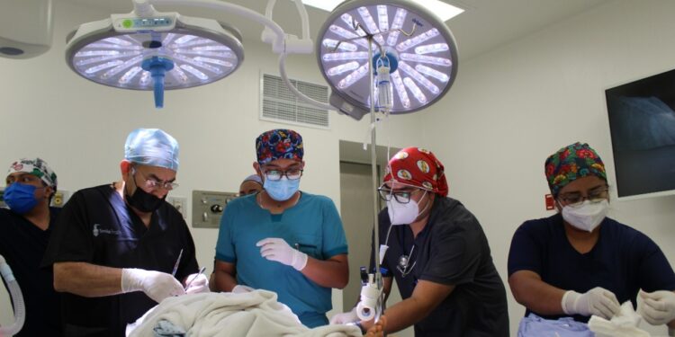 Gracias a cirugías gratuitas de labio y paladar hendido, familias ahorran más de 2.6 mdp