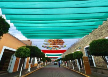 Realza gobierno del estado identidad nacional con decoración innovadora y creativa