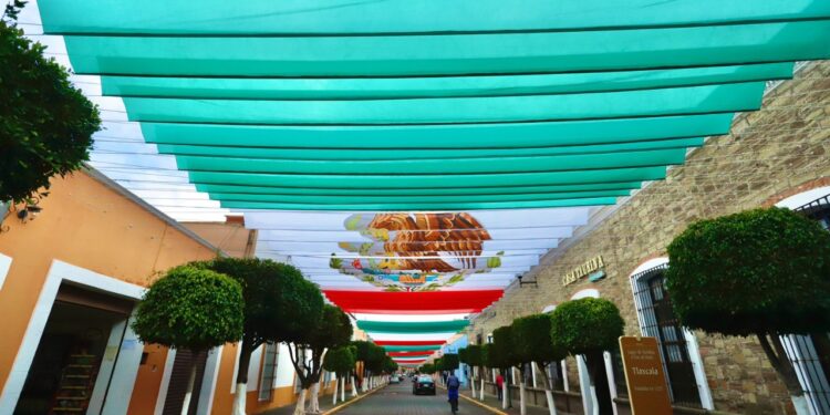 Realza gobierno del estado identidad nacional con decoración innovadora y creativa