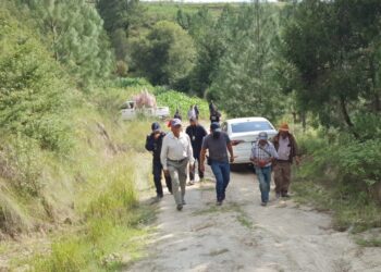 Estrangulamiento, causa de muerte de hombre de origen alemán: PGJE