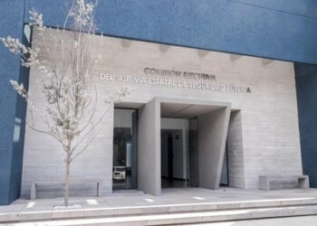 Apuesta cesesp por alejar las armas de los hogares