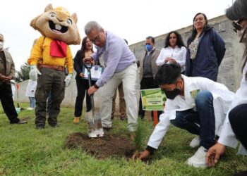 SEPE y SEMARNAT ponen en marcha el programa “regresa a clases con un árbol”