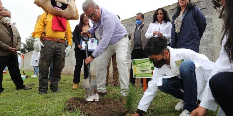 SEPE y SEMARNAT ponen en marcha el programa “regresa a clases con un árbol”