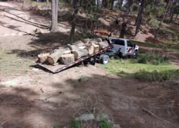 Asegura SSC material forestal en Huamantla 