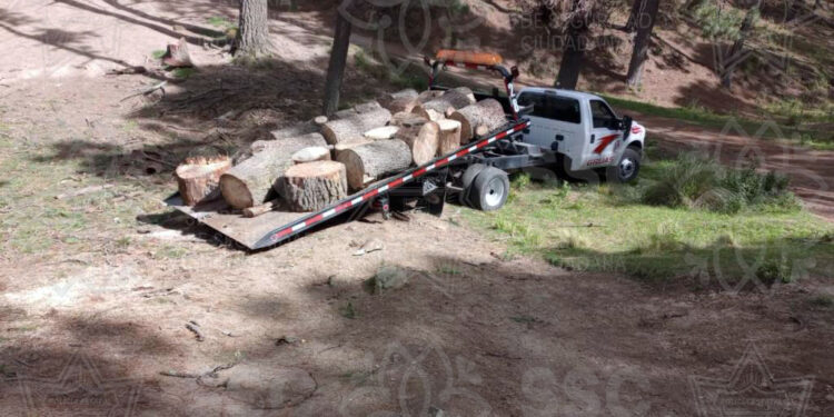 Asegura SSC material forestal en Huamantla 