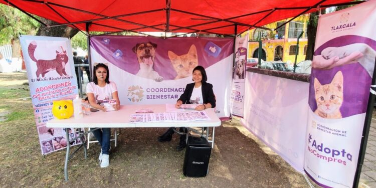 Participa la coordinación de bienestar animal en la “gran feria Tlaxcala 2022”