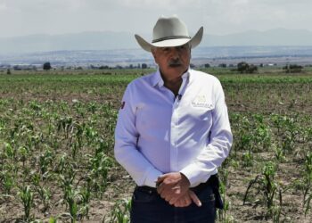 Anuncia SIA que destinará 15 mdp a campesinos que sufrieron pérdidas en sus cosechas