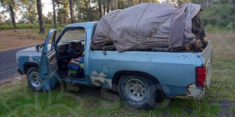 Continúa ssc con patrullajes para combatir delitos ambientales