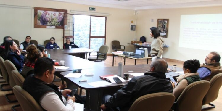 Trabaja SIA en programas con perspectiva de género