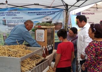 Impulsa sia transición de la agricultura tradicional a orgánica