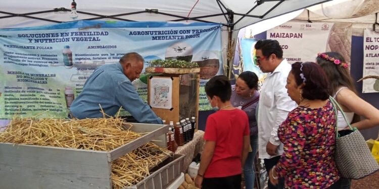 Impulsa sia transición de la agricultura tradicional a orgánica