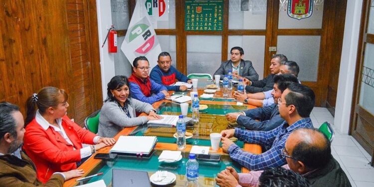 Sectores y organizaciones se unen para trabajar hombro a hombro con la nueva dirigente del PRI, Anabell Ávalos Zempoalteca 