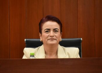Asume Diputada Guillermina Loaiza representación del Congreso en el Comité Consultivo de Bienestar