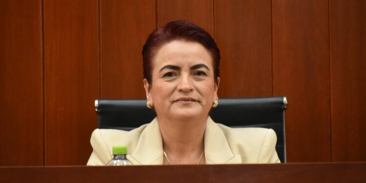 Asume Diputada Guillermina Loaiza representación del Congreso en el Comité Consultivo de Bienestar