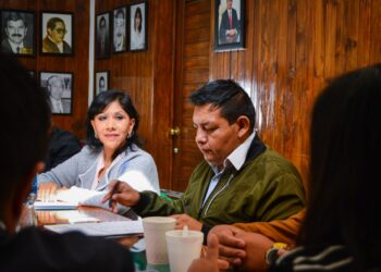 Anabell Ávalos Zempoalteca, dirigente del PRI estatal, sostiene reunión de trabajo con presidentes de comités municipales del PRI