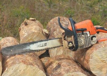 Asegura SSC material forestal en Huamantla