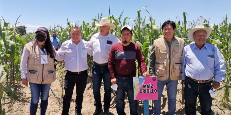 Con inversión histórica para el campo, se atiende a los verdaderos productores