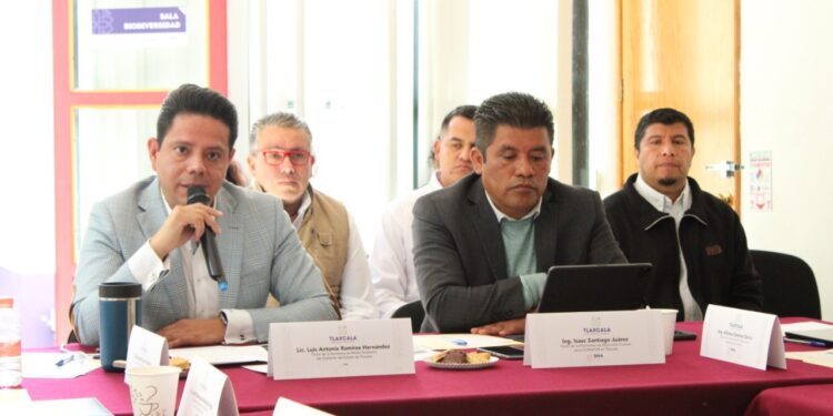 Avanza SMA en materia forestal para el año 2023