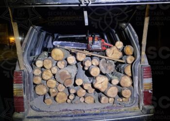 Asegura SSC vehículo presuntamente utilizado para cometer delitos forestales