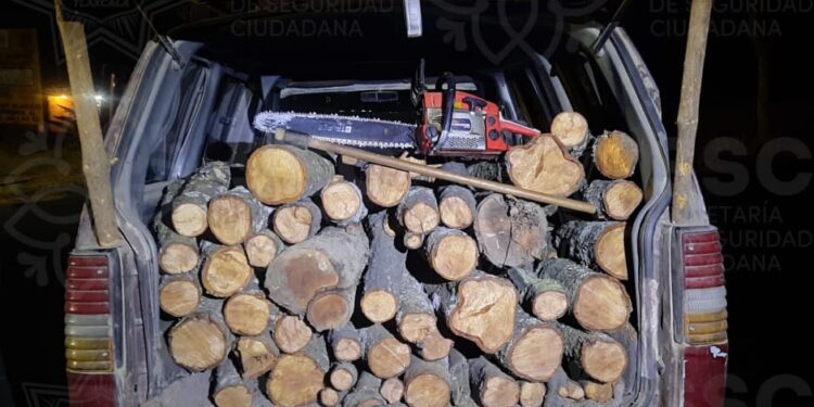 Asegura SSC vehículo presuntamente utilizado para cometer delitos forestales
